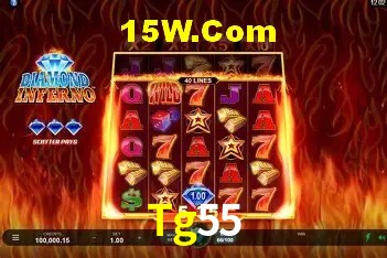 Interface moderna da plataforma Tg55