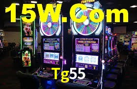 Tg55 App Interface