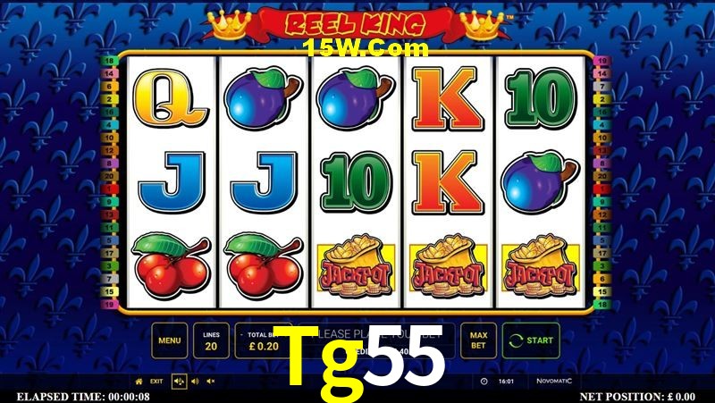 Player Reviews Tg55